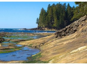A human foot has been found inside a shoe on Botanical Beach near Port Renfrew on Vancouver Island.