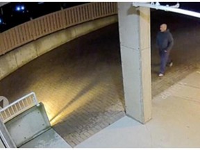 Saanich police released a video they say shows the suspect in a sexual assault and robbery that took place on Wednesday, Jan. 27, 2016, near Shelbourne Plaza.