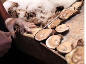 The harvest of oysters and scallops farmed in B.C. waters this year could be in danger from polluted waters in Pacific Ocean hatcheries. One shellfish farmer says ocean acidification caused by increasing carbon dioxide was blamed for the shutdown of the Washington oyster fishery last year and B.C. could be next, partially for the same reason.