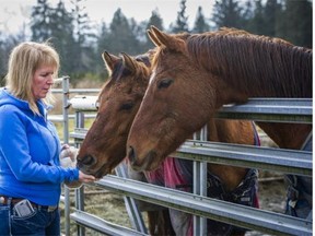 Julie Macmillan with two rescued horses at the J&M Acres Horse Rescue, Whisper, left and Church, right in Maple Ridge, B.C. Monday February 1, 2016.