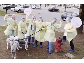 The B.C. SPCA is using a rap video to find homes for the dogs seized from a Langley puppy mill.