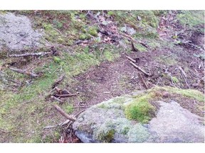 Pointed sticks protrude from the ground on a trail popular with mountain bikers, hikers and dirt bikers. Nanaimo RCMP are warning riders to be vigilant.