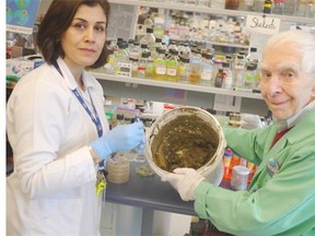 Researchers Shekooh Behroozian, left, and Julian Davies inspect a bucket of clay.    — UBC