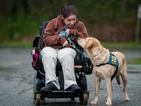 The costs associated with assistance dogs like Walker — shown here in March 2015 with Nicole Whitford at Pacific Assistance Dogs Society in Burnaby — are among items that can be deducted from your taxes as medical expenses, says expert Kathleen O’Grady. (ARLEN REDEKOP/PNG FILES)