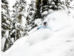 Whistler Blackcomb has been popular with skiers this year and it's planning on expanding its services.