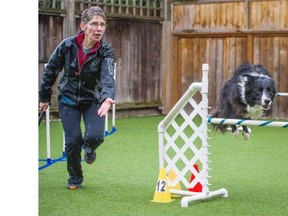 Sylvie Fefer works with her border collie dog Zappa on an agility course in her Vancouver backyard on Monday. Fefer and Zappa will compete at the World Agility Championships in the Netherlands next month.