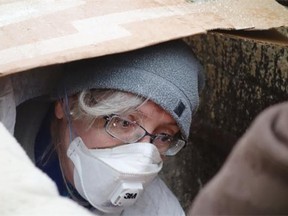 The Wildlife Rescue Association has saved 62 seagulls that were trapped in a vat of tofu waste in east Vancouver. The gulls were discovered on Friday.