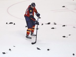 Erik Gudbranson: Great teammate, helps with the housekeeping. (CP)