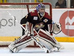 Matthew Greenfield led the West Kelowna Warriors to the RBC Cup national title Sunday in Lloydminster, Sask.
(Damon James photo.)