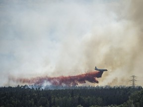 Firefighters battle a blaze inside the Burns Bog area in Delta, B.C. July 3, 2016.