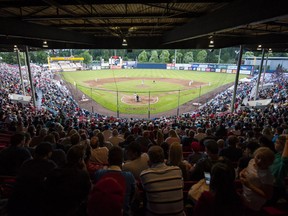 A sold out crowd at Nat Bailey Stadium on opening night.