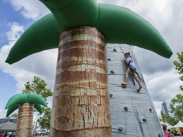 Thousands attend the annual Surrey Fusion Festival on Saturday, July 23, 2016, at Holland Park. The two-day event is a celebration of food, music and culture.