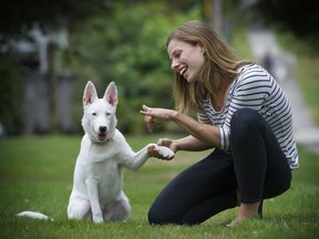 Marisa Nielsen gives some loving guidance to Evie, her deaf, husky-German shepherd cross puppy.