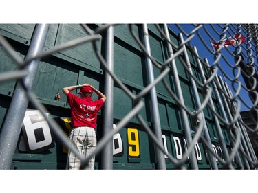 VANCOUVER August 19 2016. Henry Bull watches the game from behind the scoreboard for a Vancouver Canadians game at Nat Bailey stadium  Vancouver, August 19 2016. ( Gerry Kahrmann  /  PNG staff photo)  ( Prov / Sun News ) 00044657A Story by Steve \Ewen [PNG Merlin Archive]