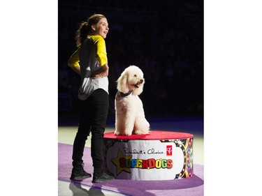 The Superdogs show at 2016 Fair at thePNE Vancouver, August 20 2016.