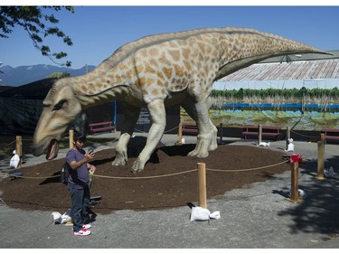 Thousands of people enjoyed the sunshine for the opening of the PNE in Vancouver, BC Saturday, August 20, 2016.