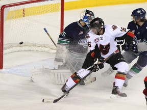 Cal Babych, then with the Calgary Hitmen, watches the puck score against Seattle Thunderbirds goalie Justin Myles at the Scotiabank Saddledome in Calgary on January 5, 2014.(Christina Ryan/Calgary Herald)