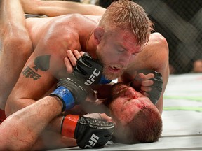 Alexander 'The Mauler' Gustafsson, top, from Sweden and Jan Blachowicz from Poland compete at the UFC Fight Night in Hamburg.