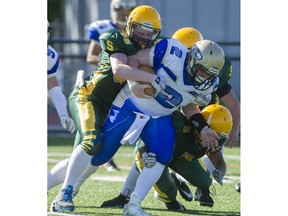 Seaquam Seahawks' Tristen Yanciew is gang-tackled by a host of host Langley Saints Friday. (Gerry Kahrmann, PNG photo)