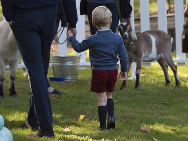 Prince George holds his father's hand as he enters the petting zoo during a children's party at Government House in Victoria, B.C. Thursday, Sept 29, 2016.