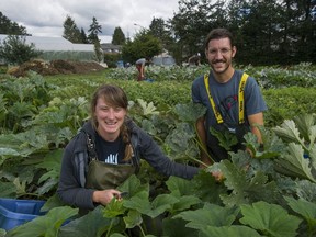 Zaklan Heritage farm in Surrey, BC Tuesday, September 6, 2016. Pictured is Doug Zaklan and Gemma McNeill, who farm the rural property in the middle of urban sprawl.