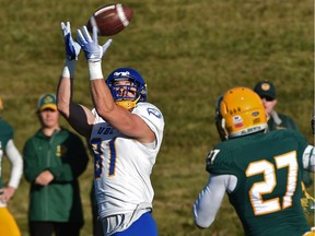 UBC Thunderbirds Marshall Cook (81) makes the catch and runs it in for a touchdown against the University of Alberta Golden Bears as Tak Landry (27) gives chase during football action at Foote Field in Edmonton Saturday.