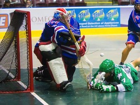Maple Ridge Burrards goaltender Frankie Scigliano has sparkled all WLA playoffs. He now gets to try his hand at the Mann Cup. (Erich Eichhorn photo.)