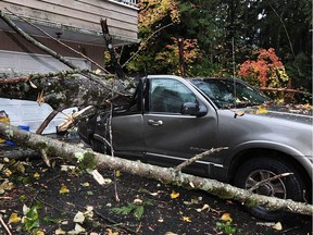 A car sits crushed by a tree in the driveway of a home on Silverdale Place following an overnight storm in North Vancouver on Oct. 13.