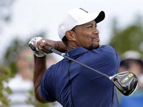Tiger Woods watches his tee shot on the first hole during the second round at the Hero World Challenge golf tournament, Friday, Dec. 2, 2016, in Nassau, Bahamas. (AP Photo/Lynne Sladky)