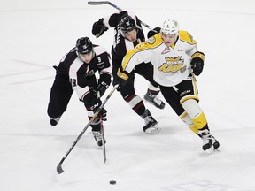 Dawson Holt and Jack Flaman of the Vancouver Giants fight for the puck against Schael Higson of the Brandon Wheat Kings during the first period of their WHL game at the Langley Events Centre on December 2, 2016 in Langley, British Columbia, Canada. (Photo by Ben Nelms/Getty Images)