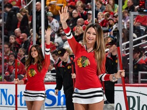 hawksgirls