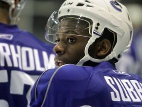 Will Jordan Subban get a sniff of NHL action?