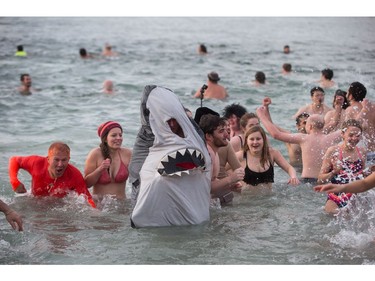 A man dressed in a shark costume participates in the Polar Bear Swim at English Bay, in Vancouver, B.C., on Sunday, January 1, 2017.