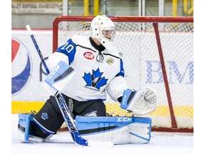 Mathew Robson made 26 saves in a 1-0 overtime win for the Penticton Vees over the Chilliwack Chiefs in Game 7 of the BCHL final on Tuesday