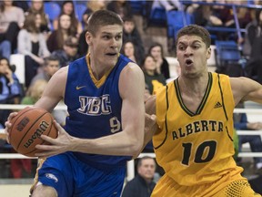 UBC Thunderbirds Conor Morgan, left, the nation's leading scorer, drives past Brody Clarke of the Alberta Golden Bears during weekend action at War Memorial Gymnasium.