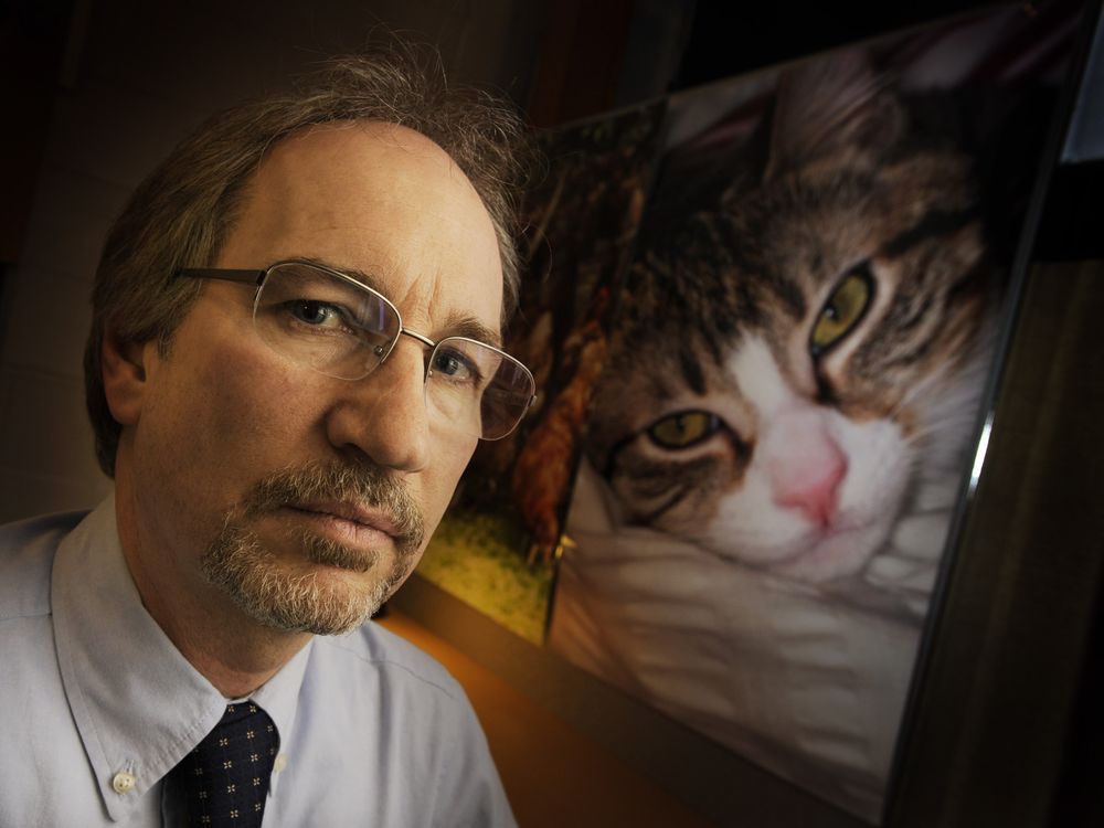 Opinion: Animals used in TV and film production need protection | The ...