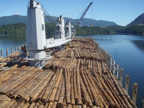 A Laser Ace bulk carrier carries a shipment of export logs destined for Asia from northern Vancouver Island.