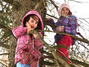 There's no law stopping kids from climbing trees, so the fact it's no longer a common sight probably has a lot to do with protective parents.