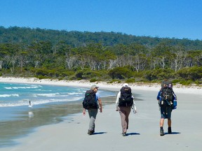 On the Maria Island Walk, you’ll see lots of sand, water and trees but few other people.