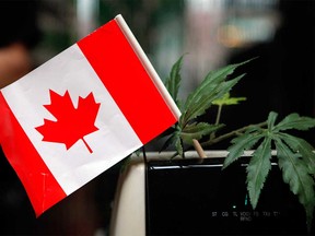 The federal Liberals on Thursday introduced their plan to legalize marijuana.