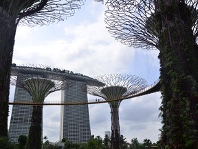Singapore bills itself as a “garden city”.