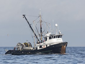 The fishing vessel, Miss Cory, is seen off Qualicum Beach on Vancouver Island during the chum salmon fishery in 2016.