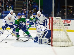 Utica Comets winger Jake Virtanen goes to the net against the Toronto Marlies during a 2016-17 American Hockey League game.