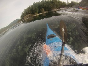 Blue Dog Kayaking offers an adventurous way to see Sidney.