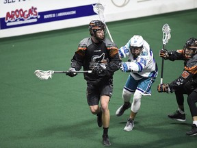 Kevin Crowley, a New Westminster native with the New England Black Wolves, will be looking to get his team a home playoff date during a match-up with the visiting Vancouver Stealth on Saturday.