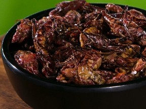 The Mariners are serving up grasshoppers this season at Safeco Field