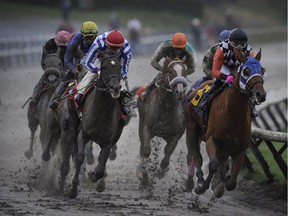 You can bet it's going to be muddy when Hastings begins its racing season Sunday at Hastings Racecourse.