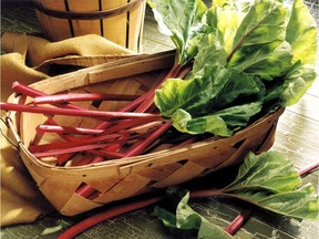 A thorough preparation of the soil is important when replanting rhubarb.