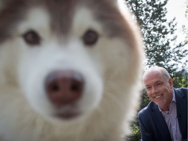 A dog looks on as B.C. NDP Leader John Horgan stops to pet another dog while bringing voters to a polling station to vote in the provincial election, in Coqutilam, B.C., on Tuesday May 9, 2017.