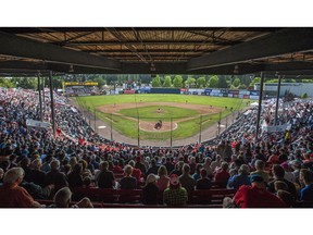 The Vancouver Canadians continue to offer an exciting product at Nat Bailey Stadium and draw huge crowds. The team is looking to have a bounce-back season on the field this year.